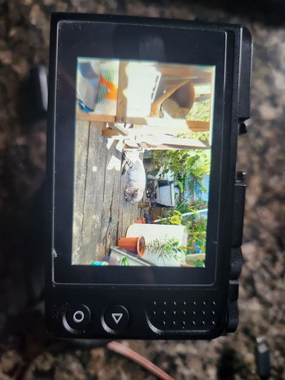Mirrorless câmera YI-M1 4K - Foto 3