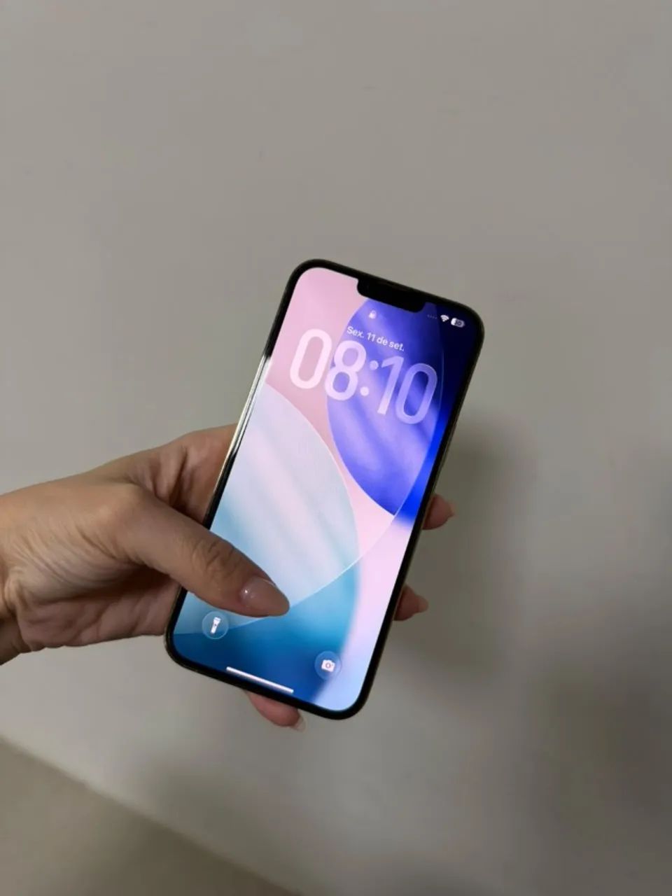 Iphone 13 Pro Max 256gb