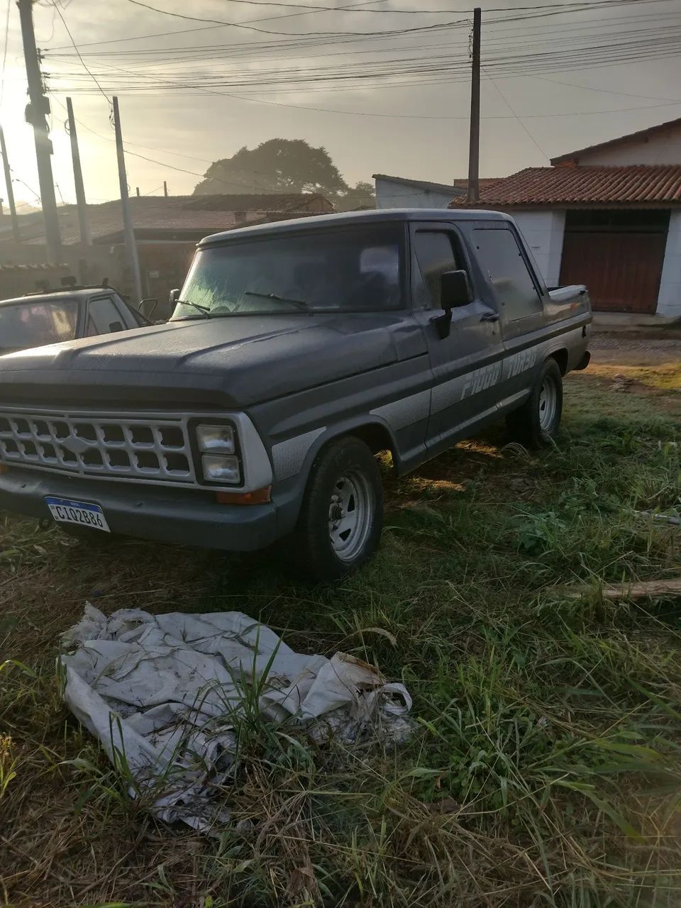 F 1000 cabine dupla  - Foto 2