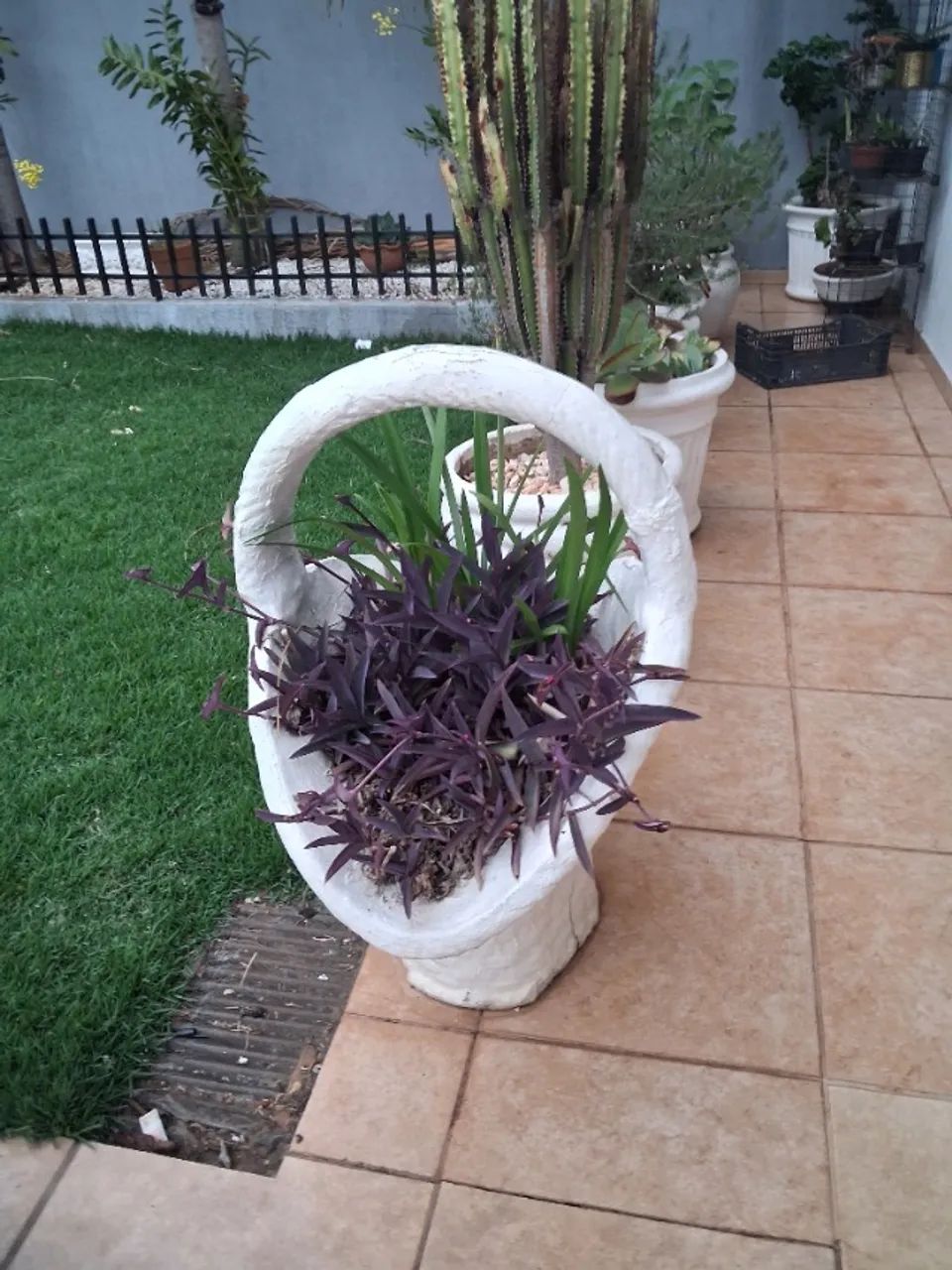 Vasos com plantas - Foto 3