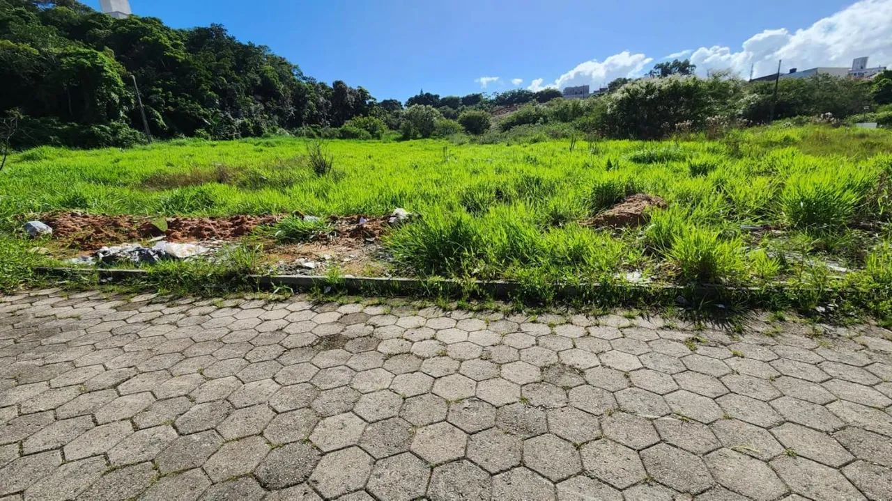 Terreno para Venda em São José, Areias - Foto 5