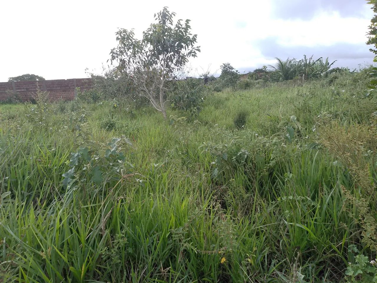 terreno no privê aeroporto  - Foto 3
