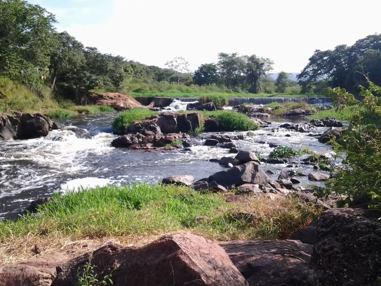 Chácara  5000 m2 em Conceição do Pará - MG - Foto 2
