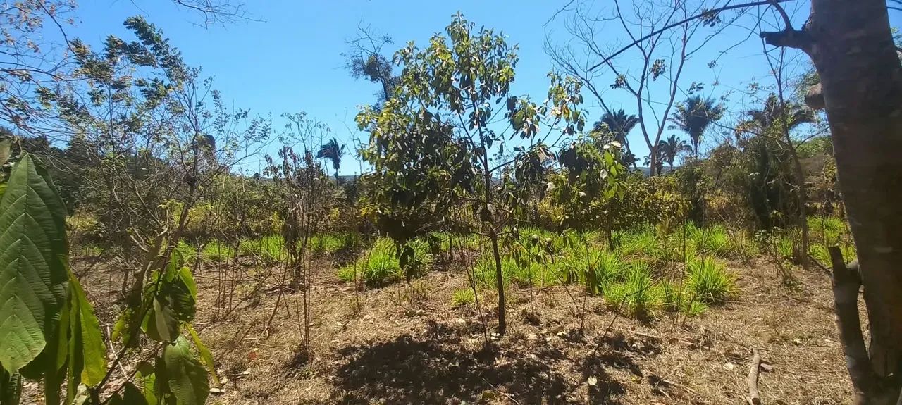 Chácara Taquaruçu 95 mil lote  - Foto 4