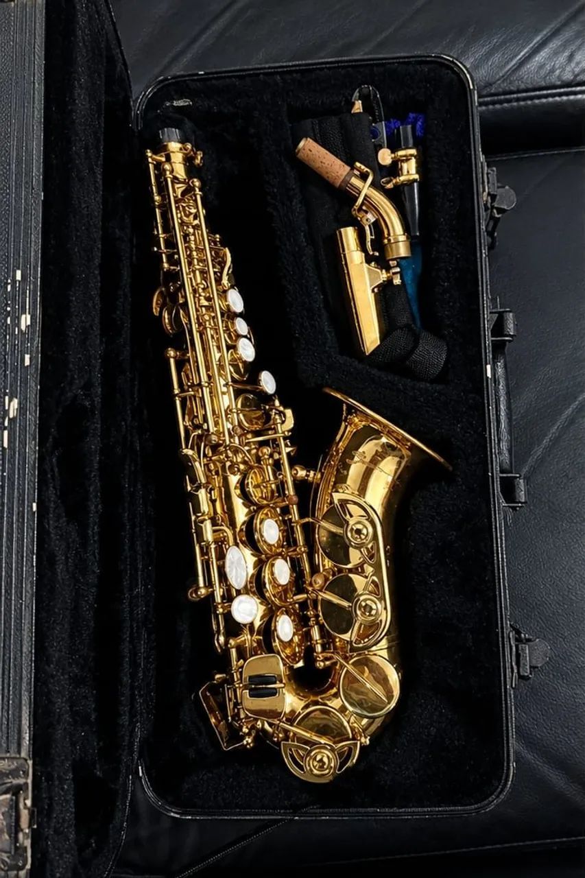 Sax soprano curvo Shelter - Foto 2