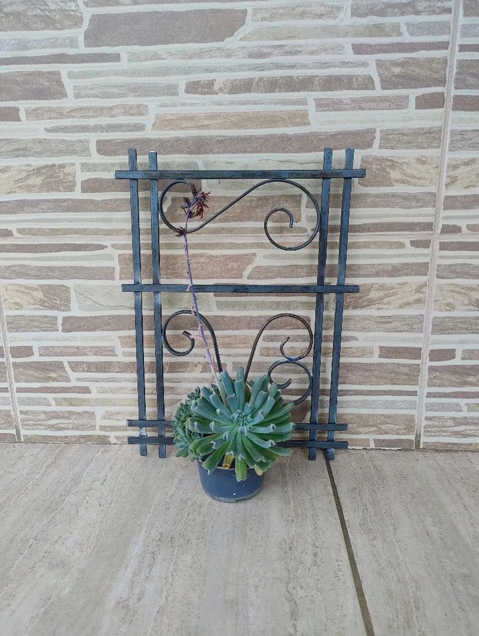 Suporte armado plantas  - Foto 2