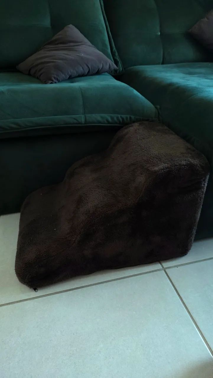 Rampa escada pet