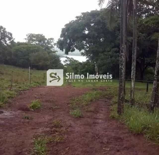Venda Área AREA RURAL DE UBERLANDIA - Foto 5