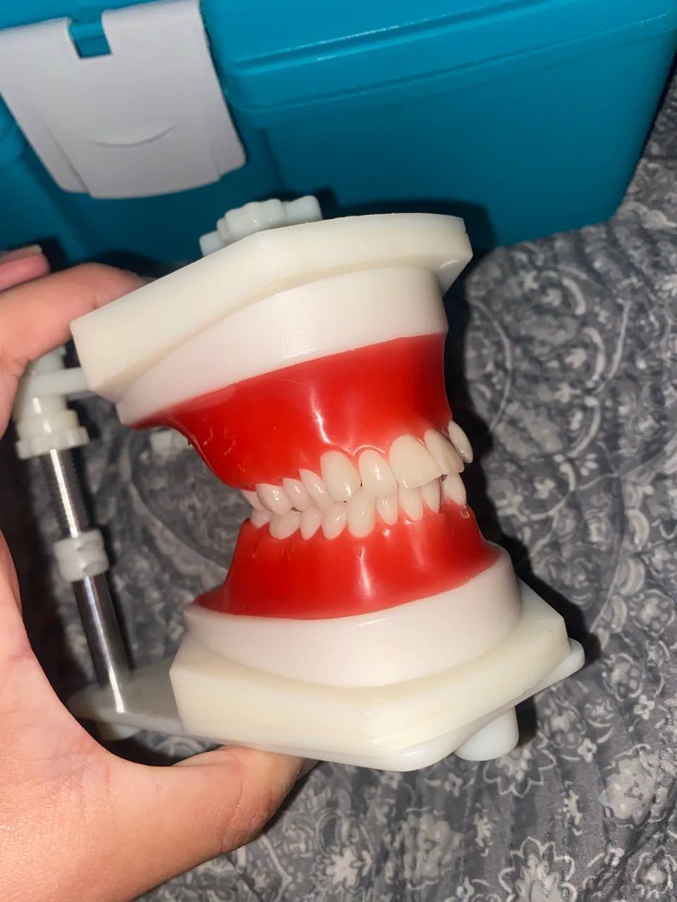 Manequim de ortodontia 