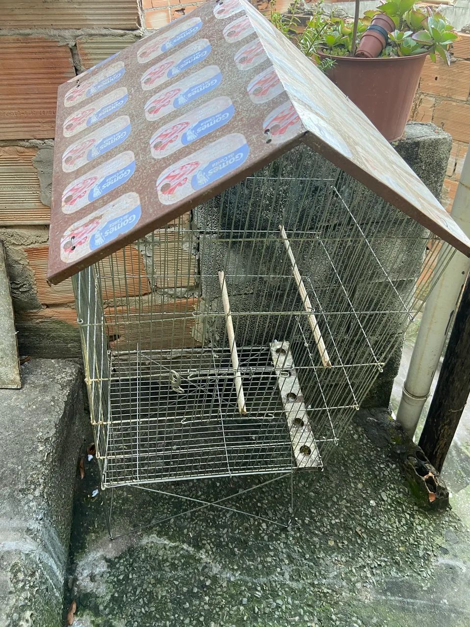 Gaiola - Foto 3