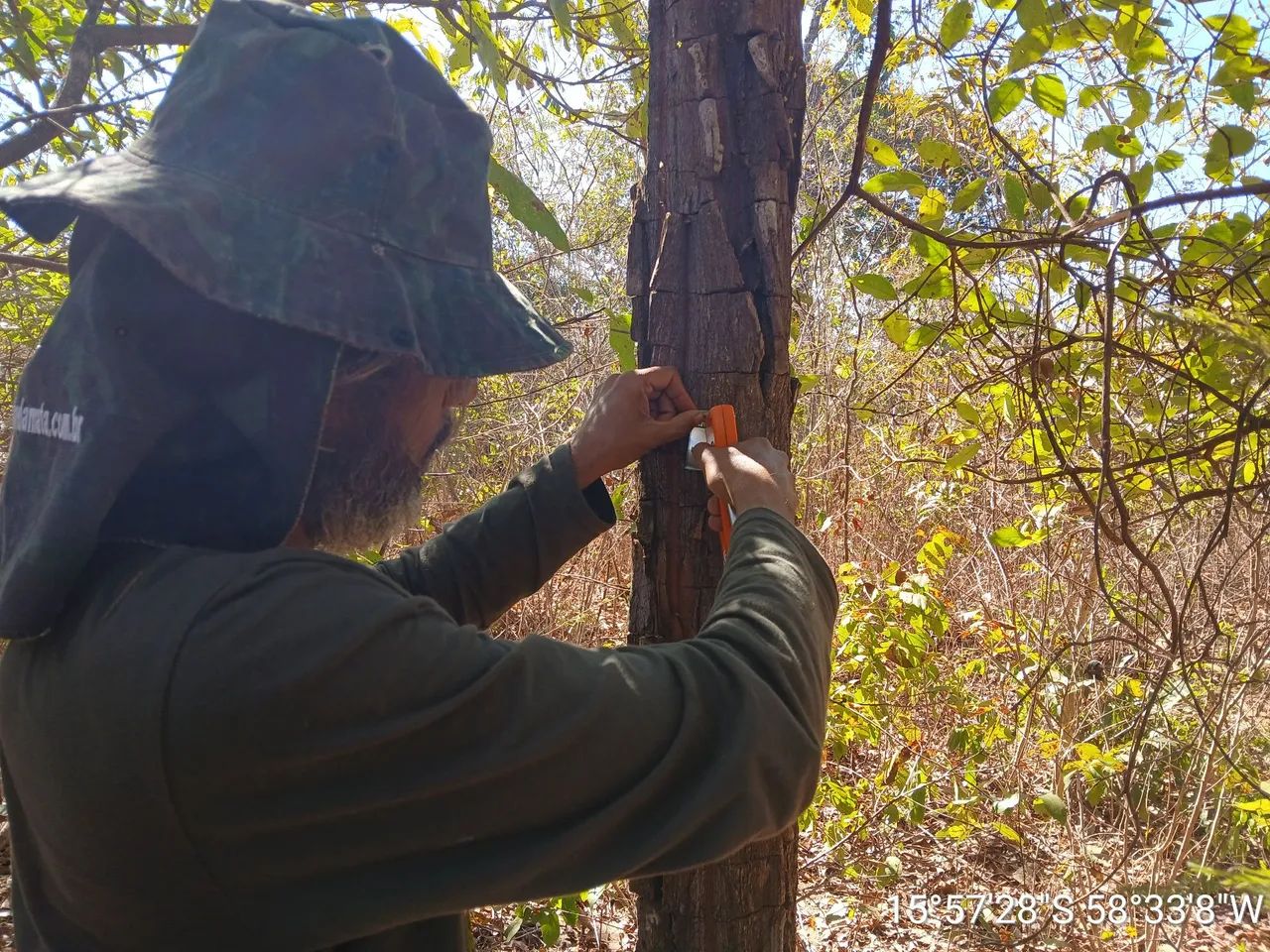 Licença Ambiental - Estudo  de Fauna e Inventário Florestal  - Foto 3