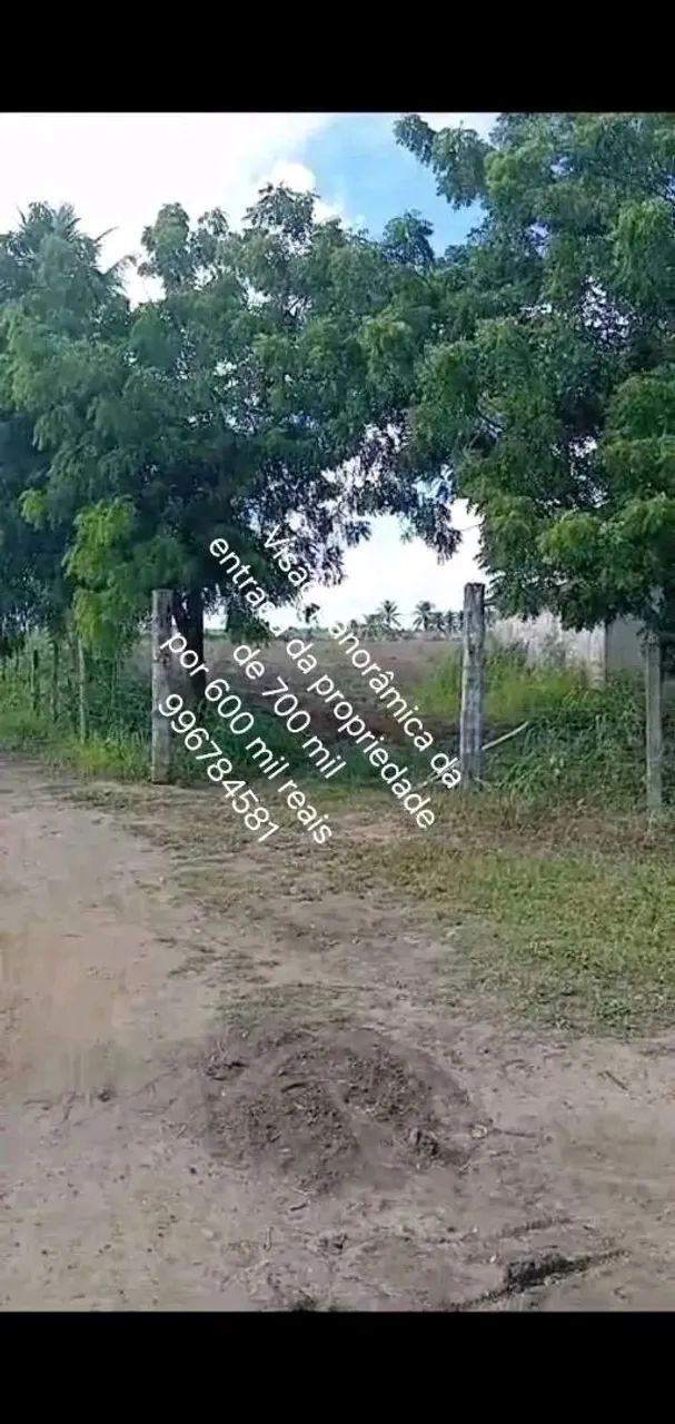 Sitio em pedrinhas Sergipe no povoado bela vista  - Foto 3