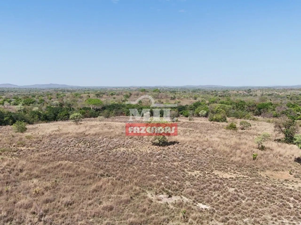 Fazenda 20 Alqueires (96,80 Hectares) Lua Nova - GO - Foto 2