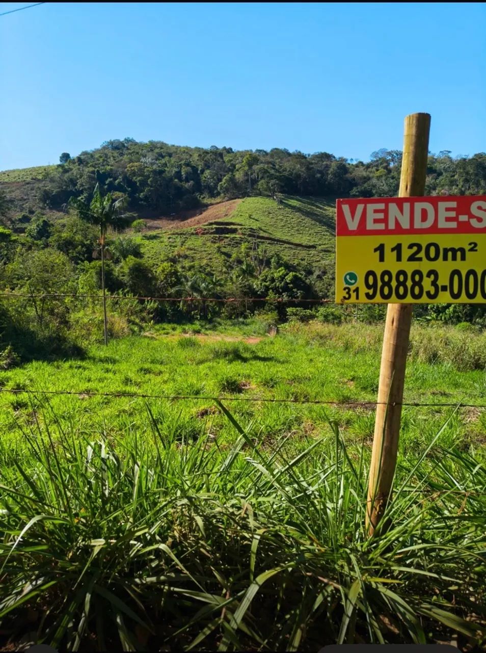VENDO CHÁCARA EM SÃO CÂNDIDO  - Foto 5