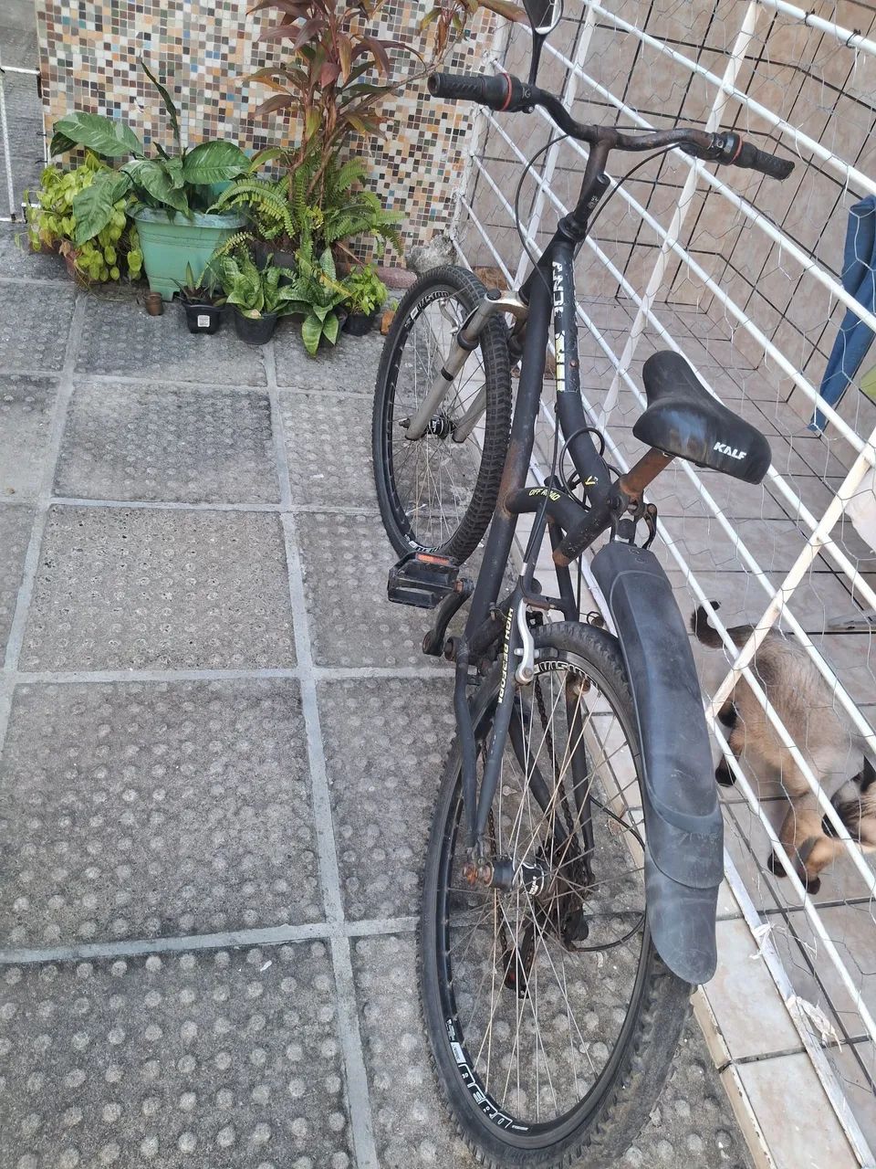 BICICLETA CALOI
