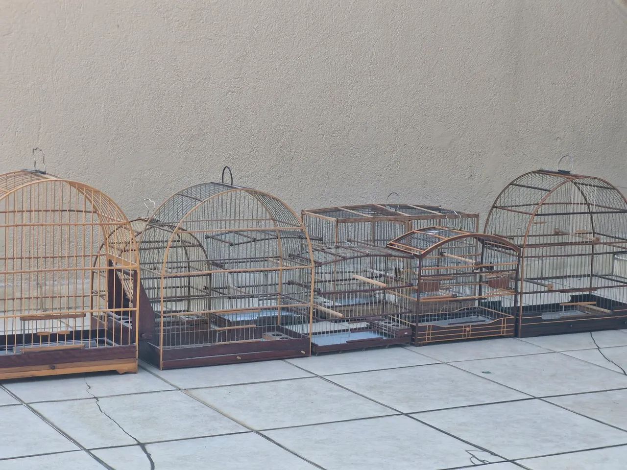 VENDO URGENTE LOTE DE 08 GAIOLAS  - Foto 5