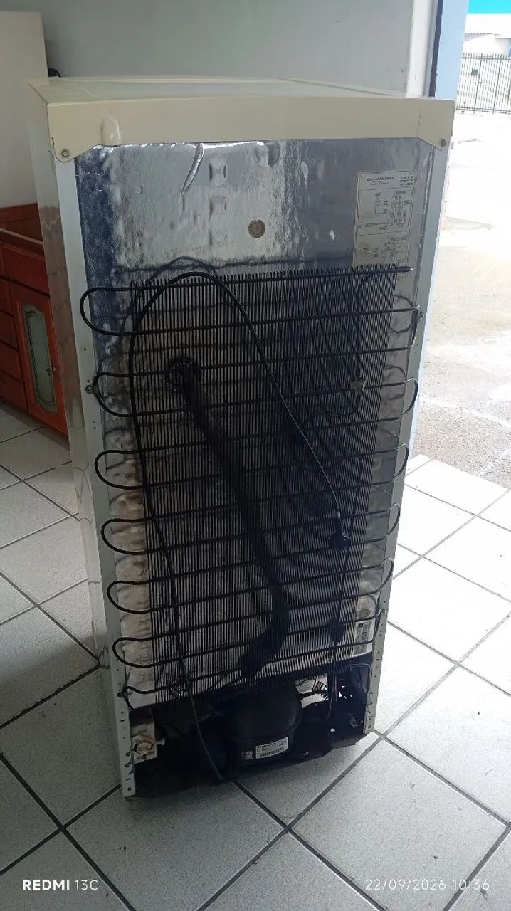 Vendo freezer  Eletrolux FE 18 - Foto 4