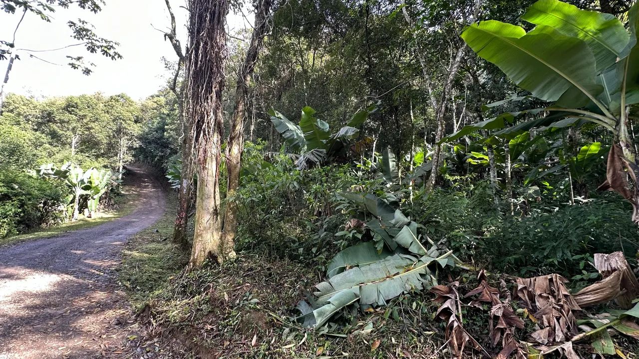 Ótima oportunidade de terreno para sítio ou investimento - Foto 5