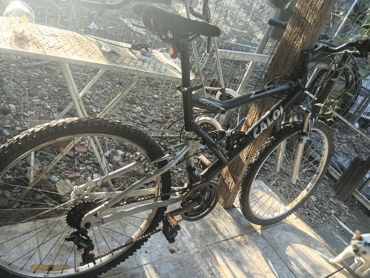 Bicicleta 