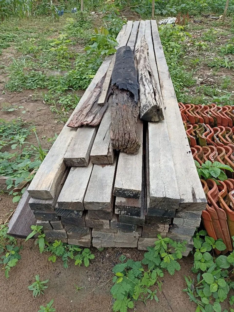 CHÁCARA ÀS MARGENS DO RIO PARAUAPEBAS  - Foto 5