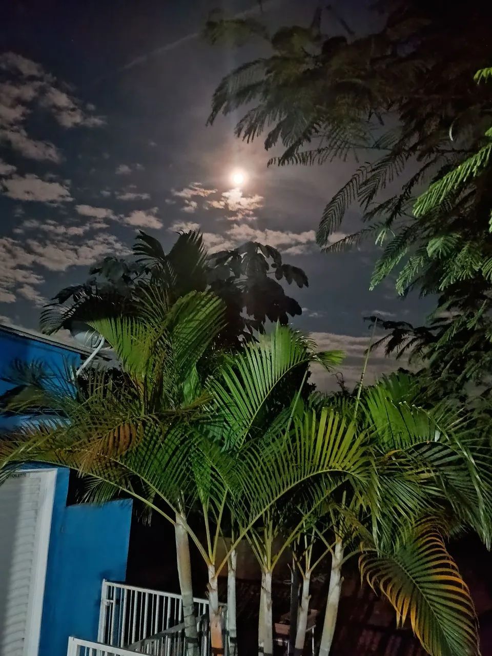 Foto - Novo Gama - Chácaras Araguaia