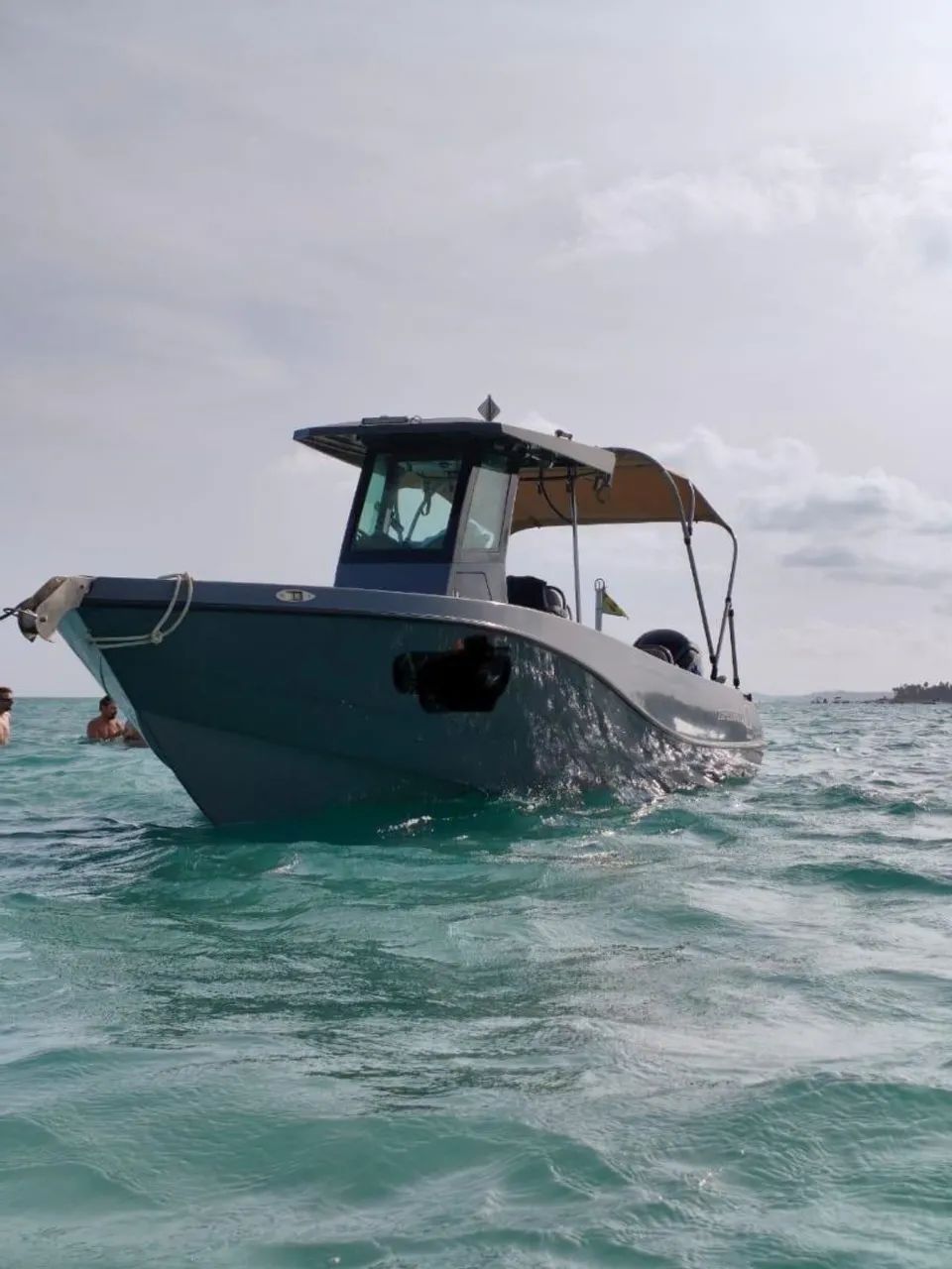 Top fish 245 .... show - Foto 11