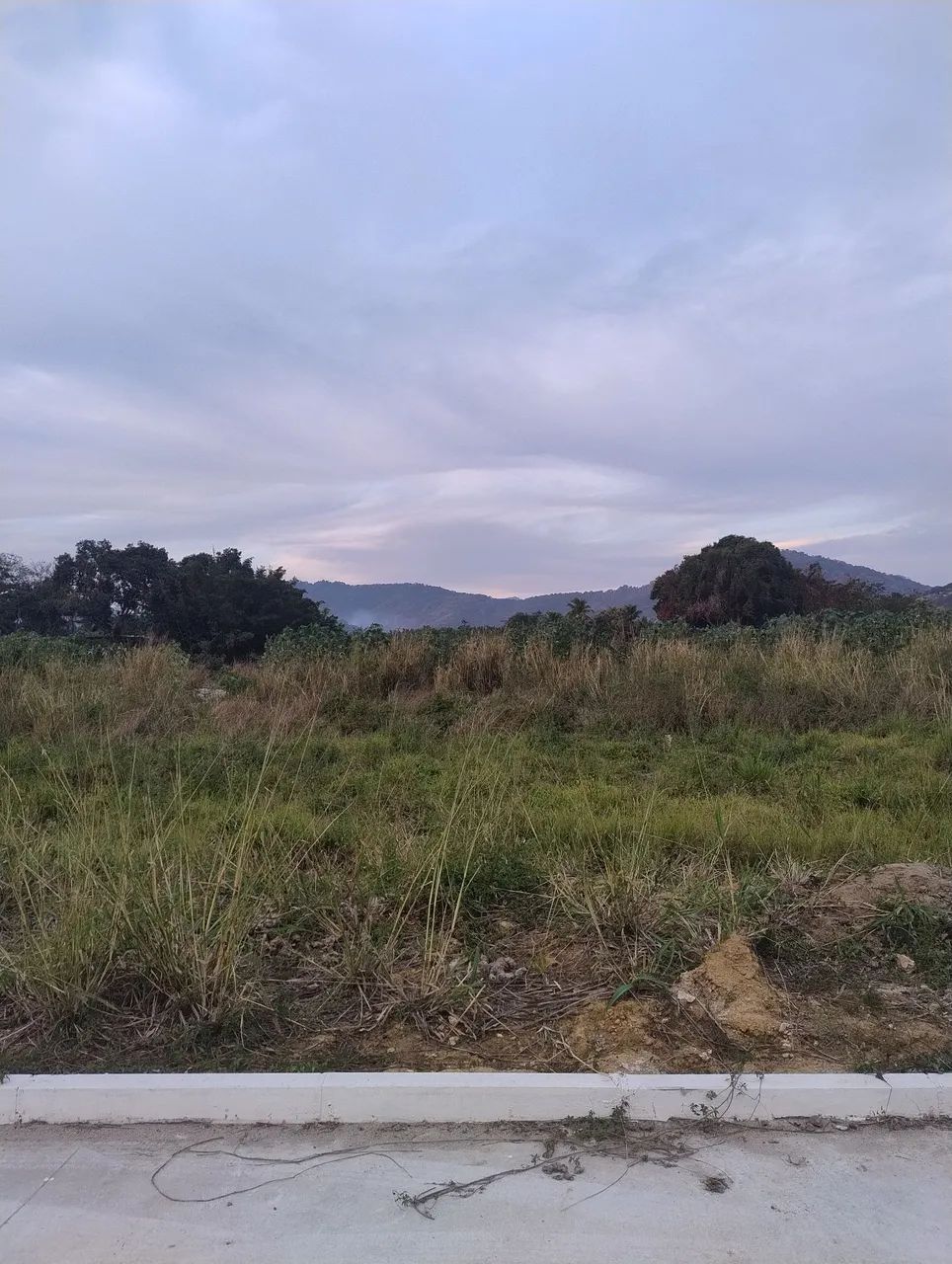 Loteamento no mato alto  - Foto 3