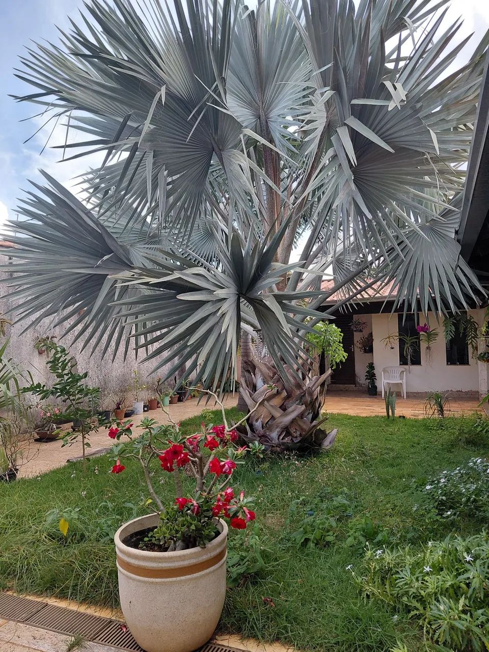 Casa a venda com excelente preço imperdivel  - Foto 3