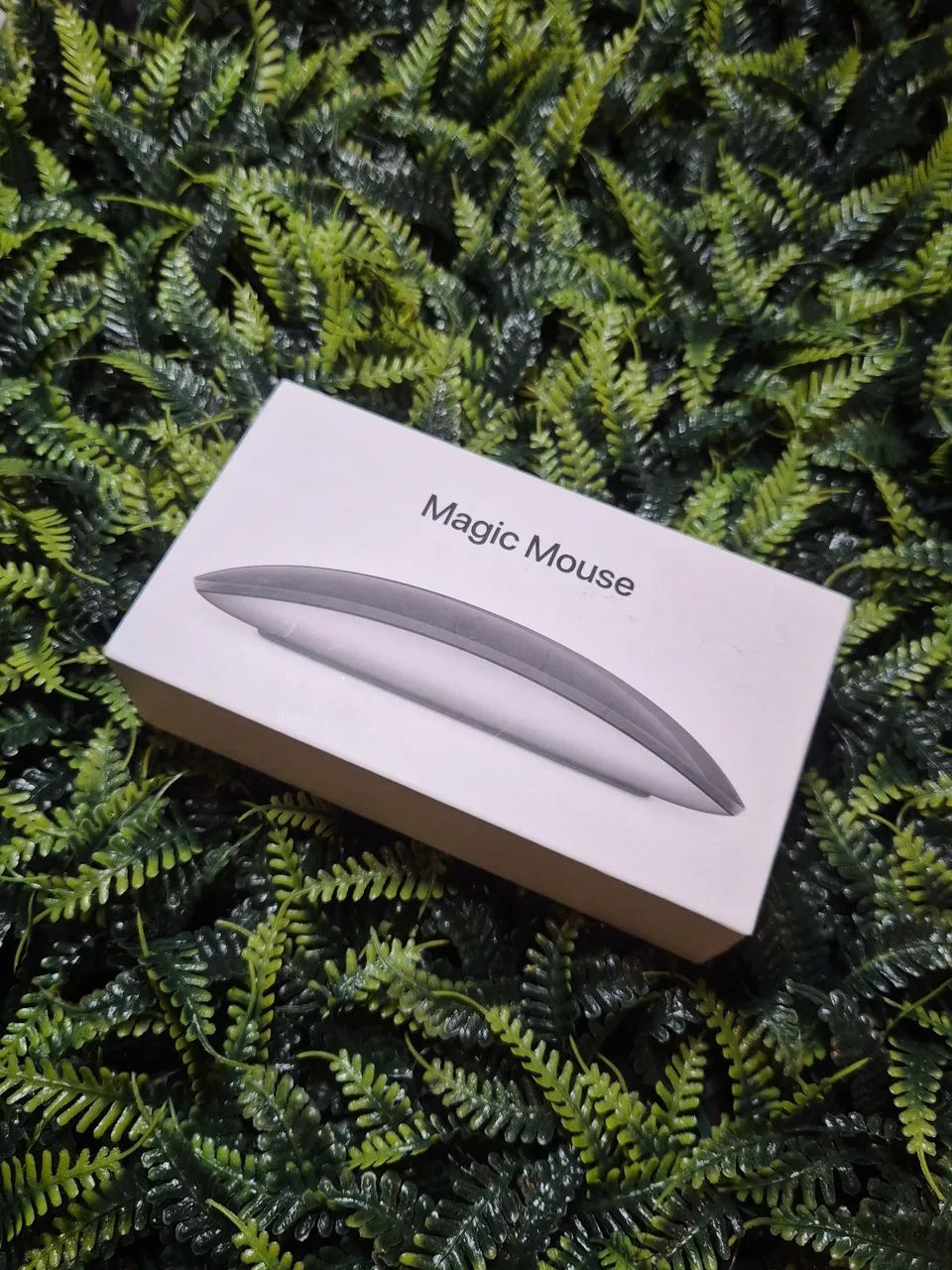 Magic mouse Apple 2 geração USB C 