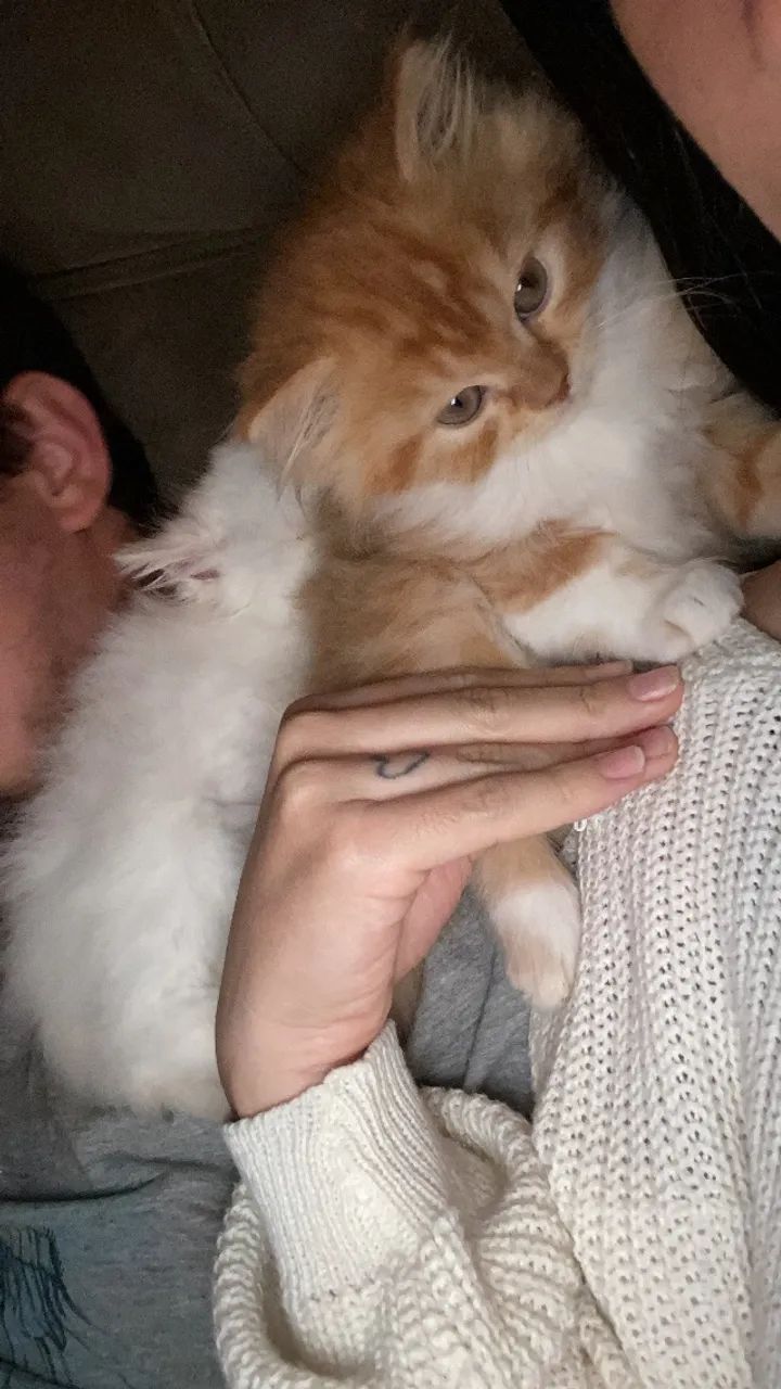 Gata 