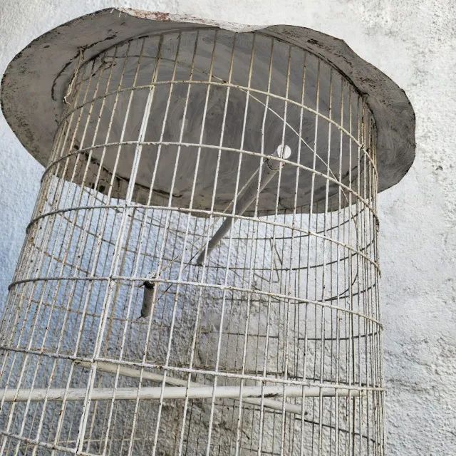Gaiola de Passaro Usada - Foto 3