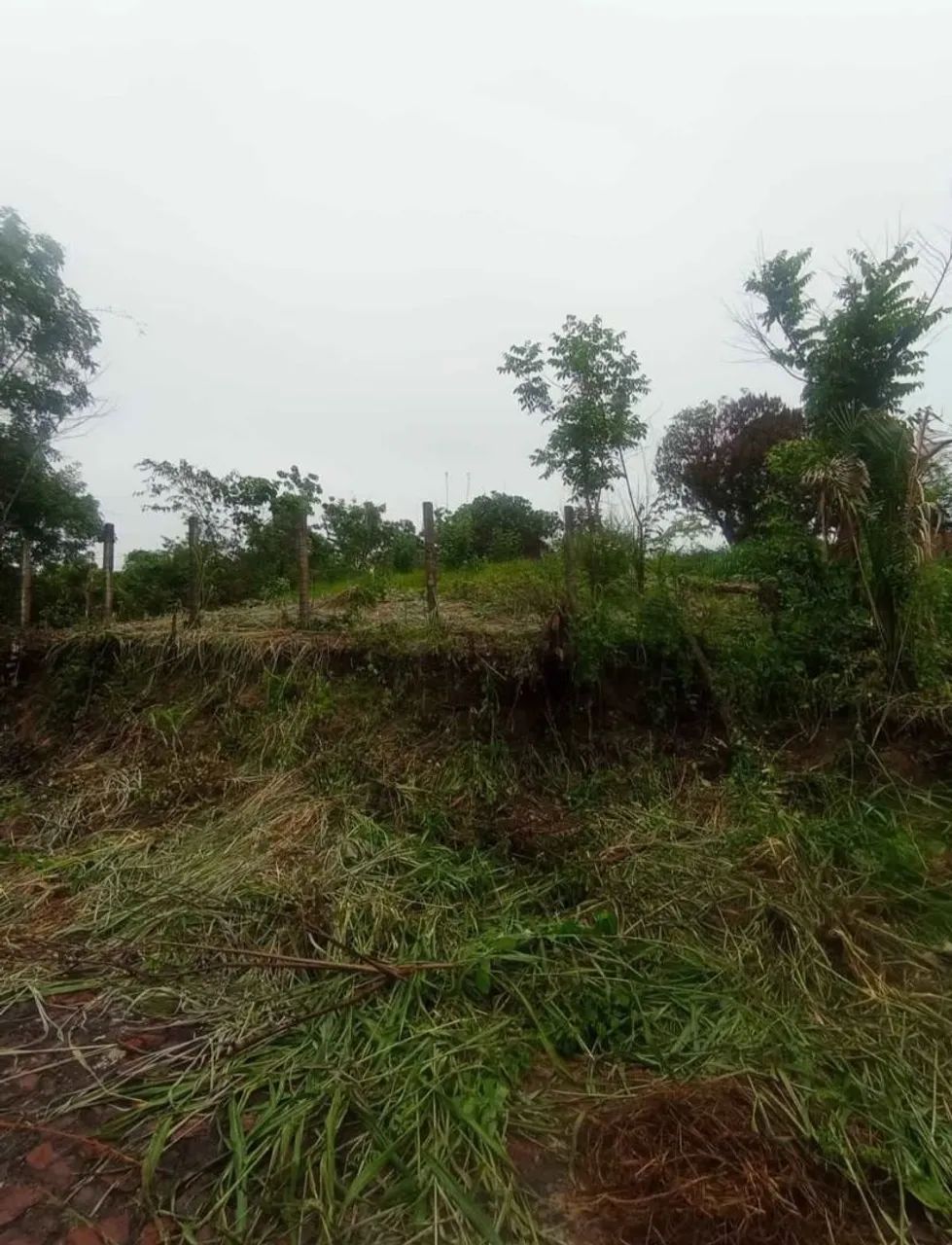 Terrenos com documento  - Foto 5