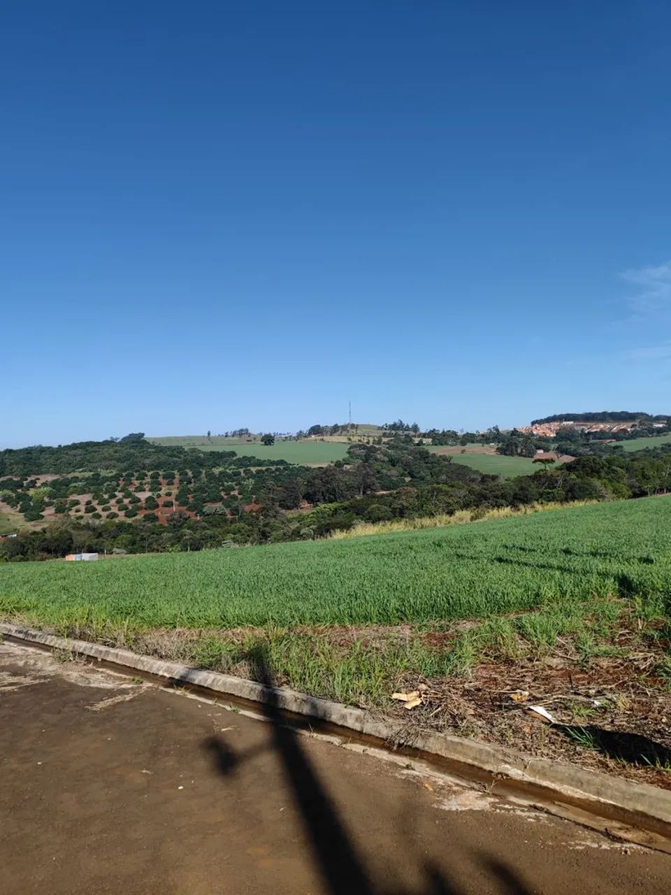 Terreno à Venda - , Califórnia - Foto 3