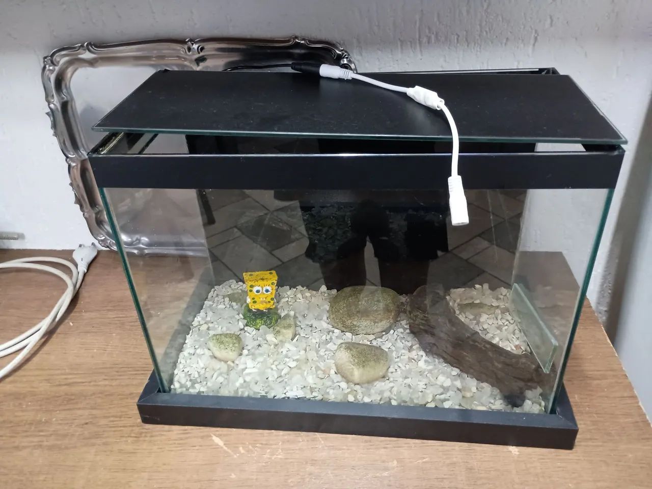 Lindo aquário  - Foto 2