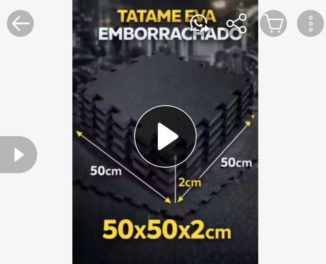 Tatames 10 placas 