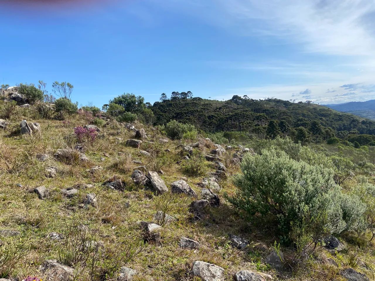 Fazenda em Urubici - 131 hectares  - Foto 12