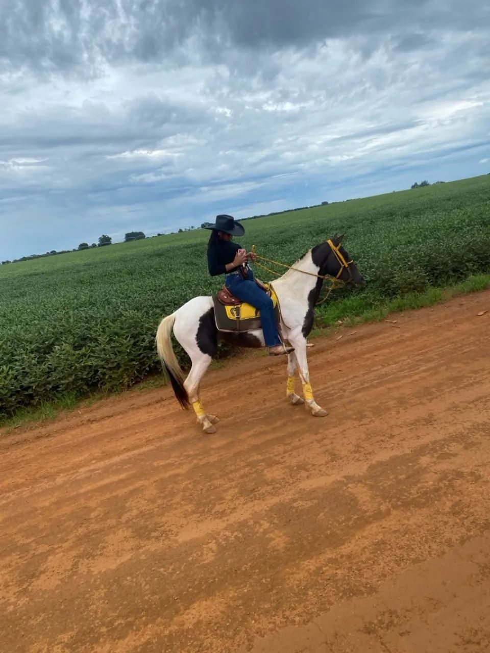 Vendo égua marcha picada  - Foto 2