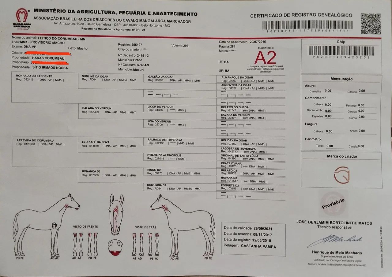 Maga larga machador pampa de castanho  - Foto 4