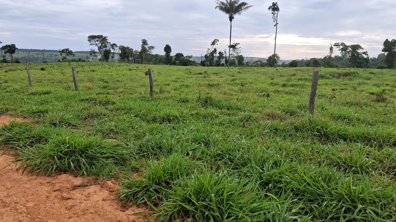 Fazenda  em Juina-MT - Foto 2