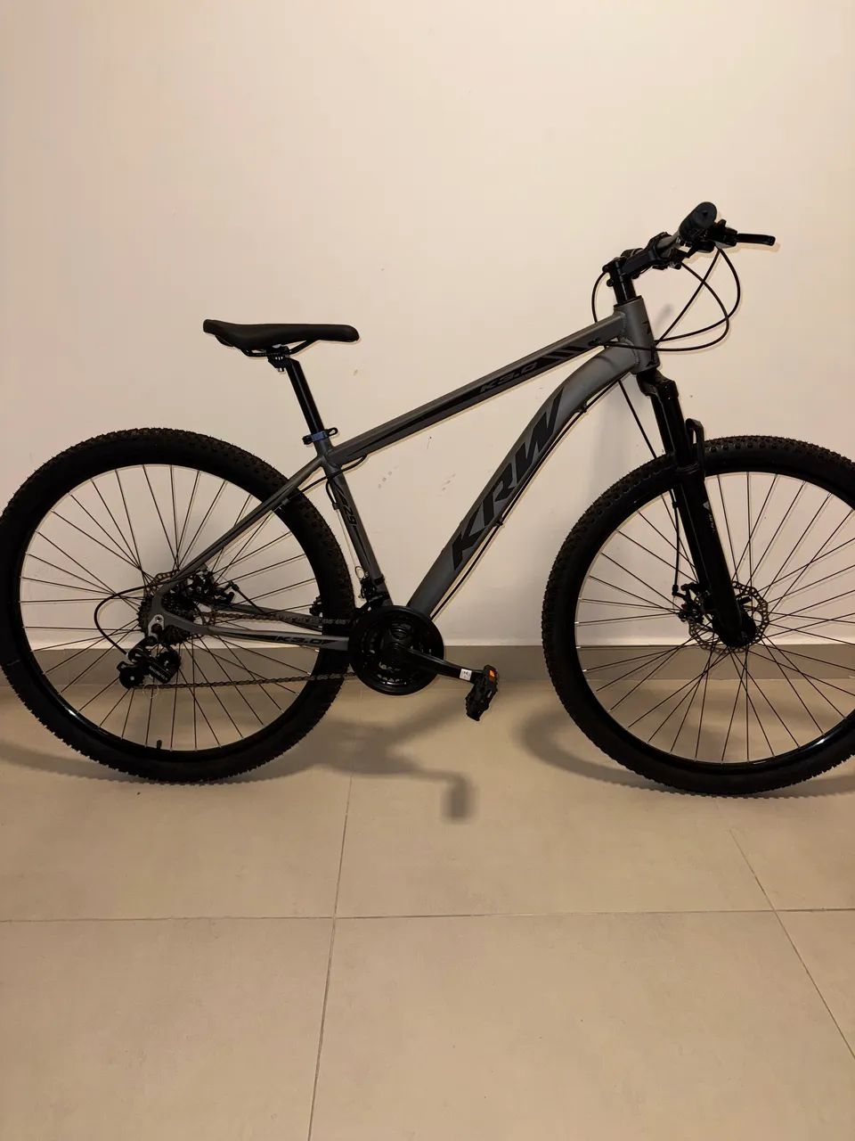Bicicleta - 800 reais 