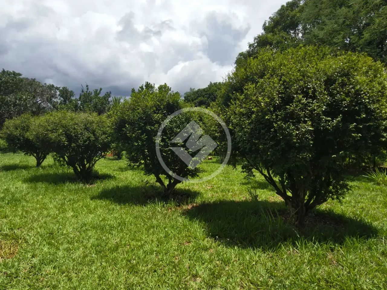CHÁCARA PROXIMO AO GOIAS VELHO codigo: 280124 - Foto 4
