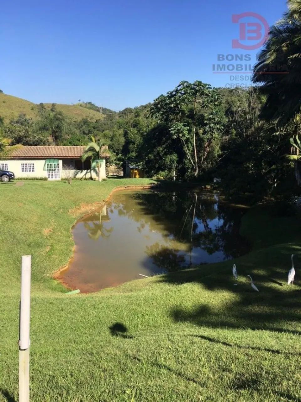 Sitio em Santa Isabel 42000 - Foto 4