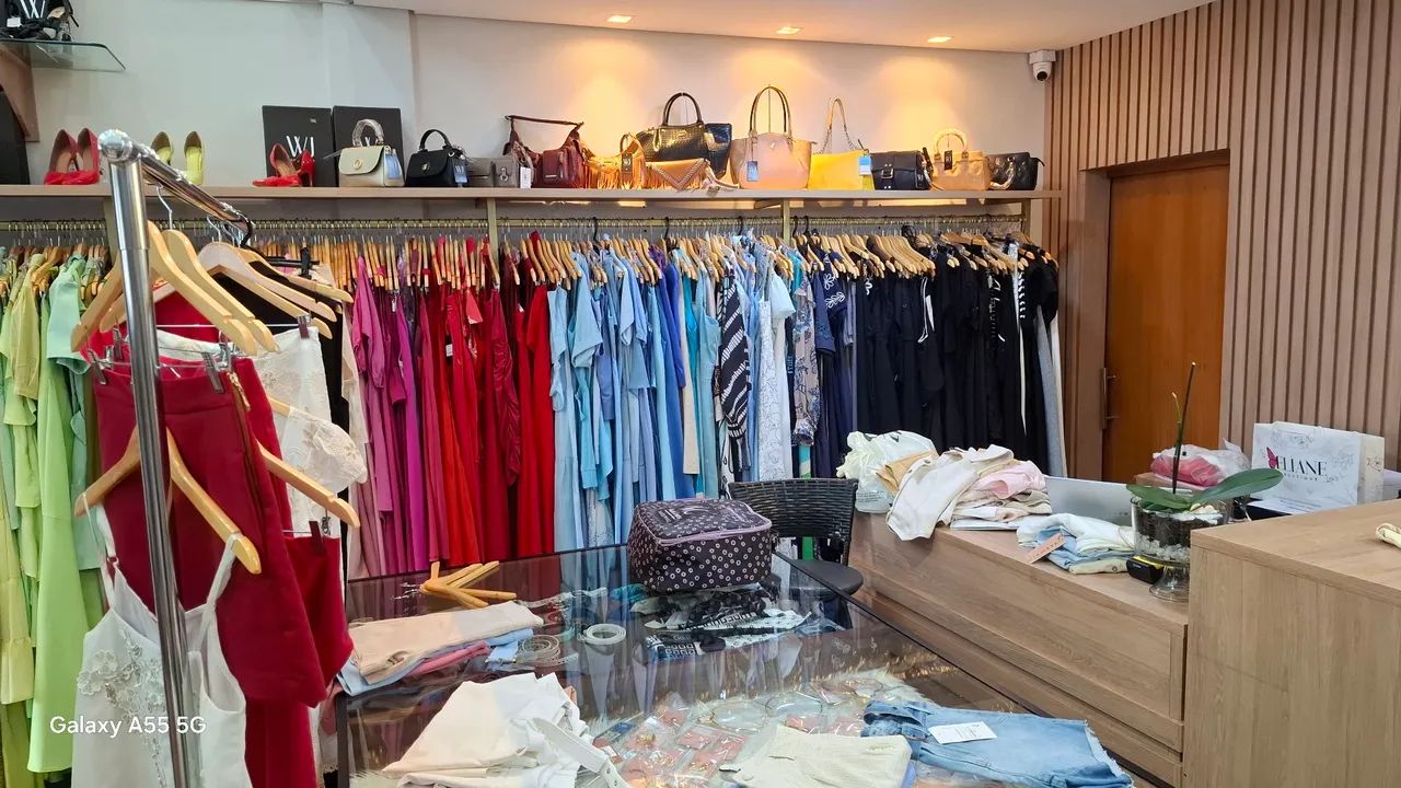 Araras loja - Foto 3