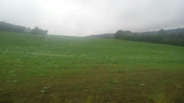 Excelente fazenda terra boa - Foto 18