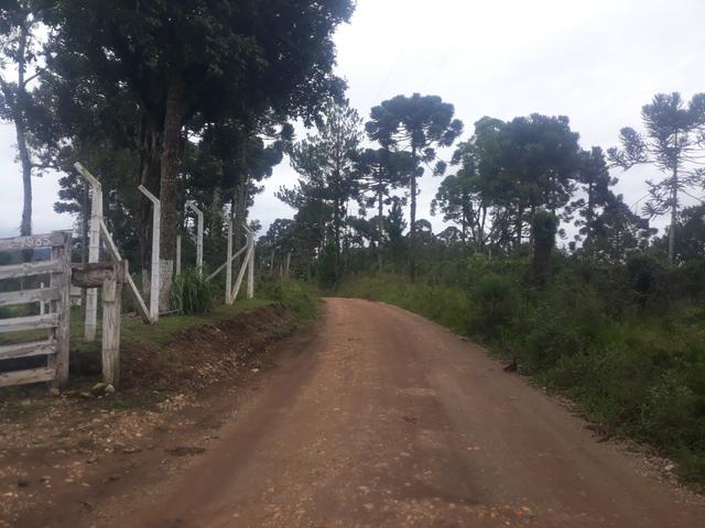 Chácara em Campina Grande do Sul - Aceito troca carro / caminhão/ terreno casa - Foto 11