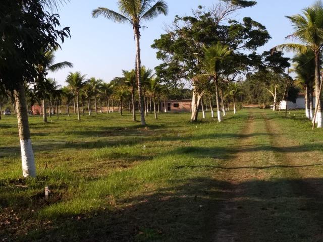* Terrenos Próximo ao Trevo de Búzios. - Foto 6
