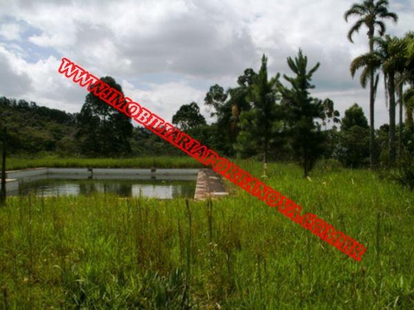 Terreno à venda em Potuvera, Itapecerica da serra cod:4510 - Foto 10