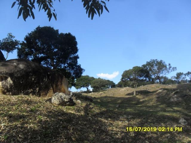 114C/Bela fazendinha de 25 ha com muita água, ótima localização e boa estrutura de sede - Foto 12