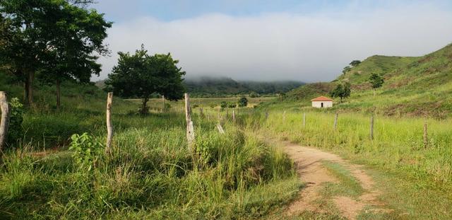 Fazenda 96,8 hectares - São Jose Safira, região de Governador Valadares/MG - Foto 3