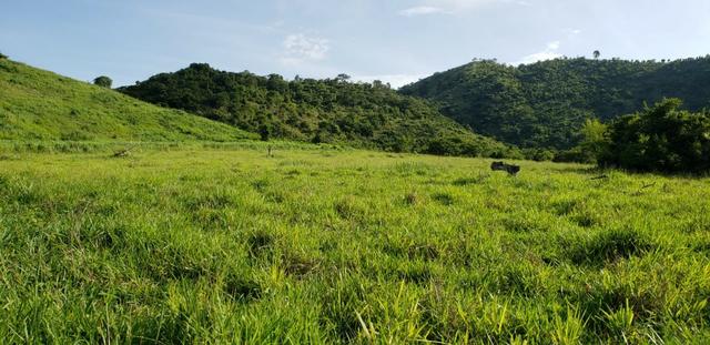 Fazenda 96,8 hectares - São Jose Safira, região de Governador Valadares/MG - Foto 12